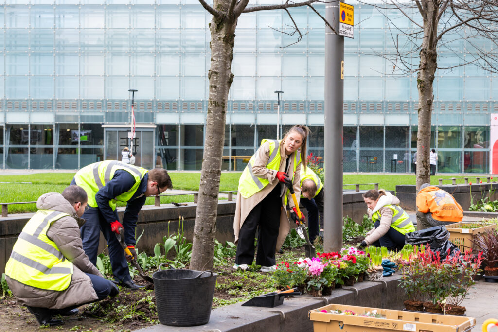 Group wearing yellow vests gardening and planting flowers in urban green space