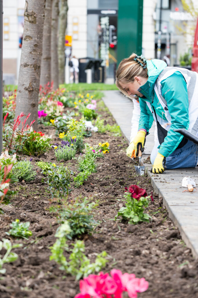Person kneeling and planting flowers along a city sidewalk garden bed